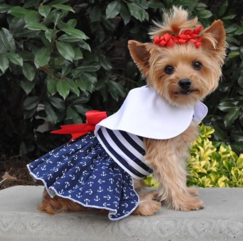 Friends Dog Clothes Nautical Dog Dress with Matching Leash