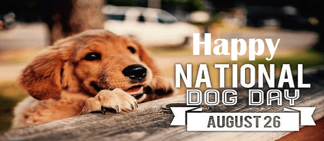 International-Dog-Day