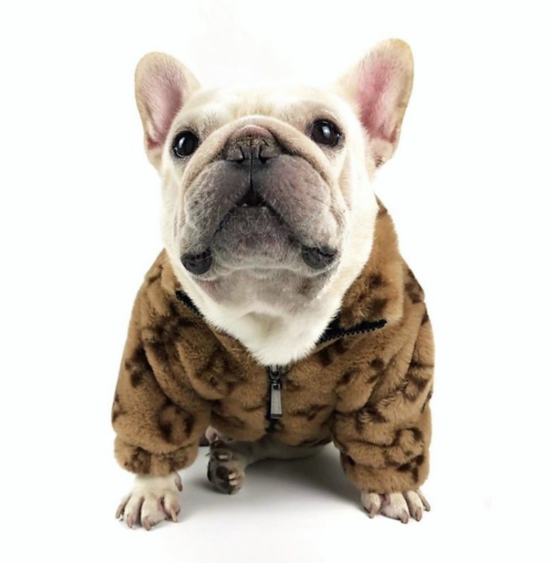 Petsmart Holiday Dog Clothes Chewy V Faux Fur Dog Jacket