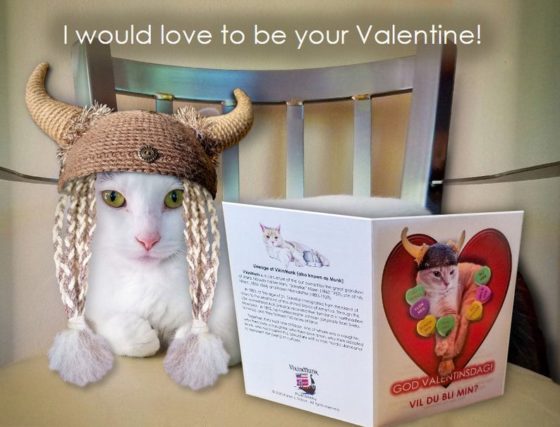 cat valentine gifts 2H-2 Cat Valentine