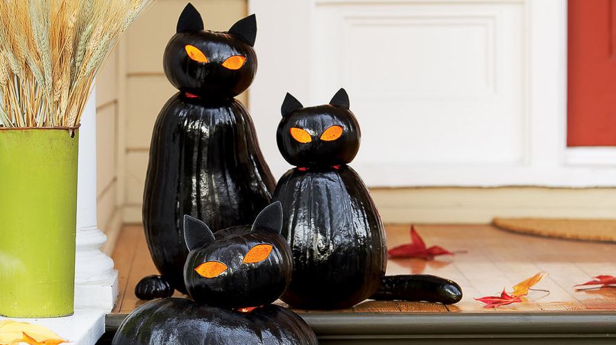 black cat Halloween decorations
