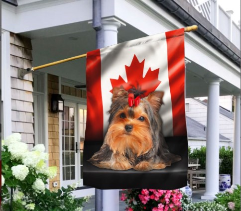 Yorkie Dog Canadian Flag