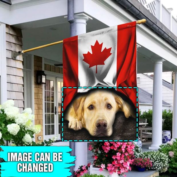 patriotic dog flag