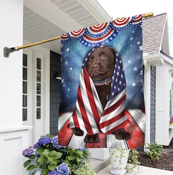Chocolate Labrador Wrap In Glory American Flag