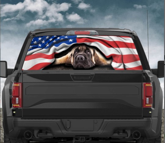 English Mastiff. American Patriot