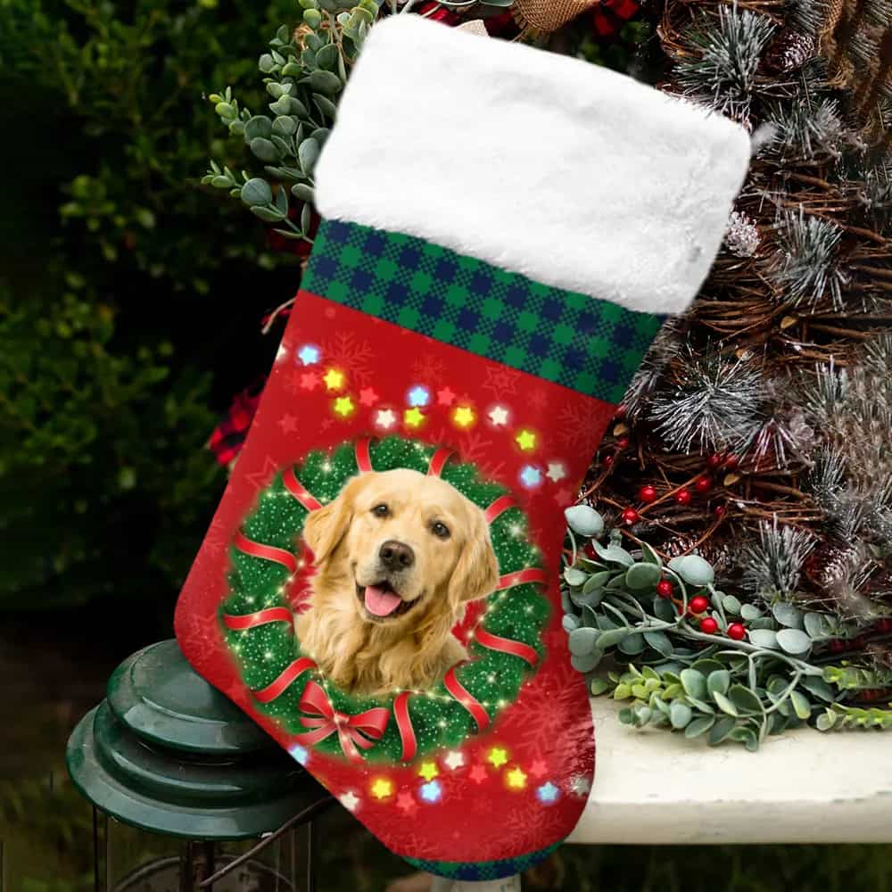 Personalized Christmas Dog Christmas Stocking