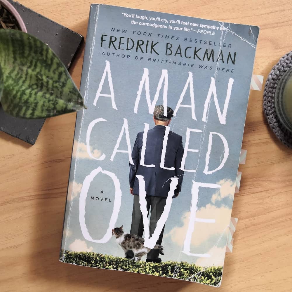 a man called ove book the best book for elderly