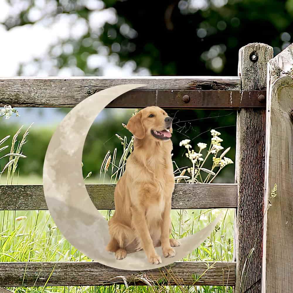 Golden Retriever Dog And Moon Hanging Metal Sign