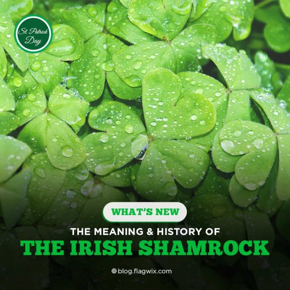 Irish Shamrock meaning