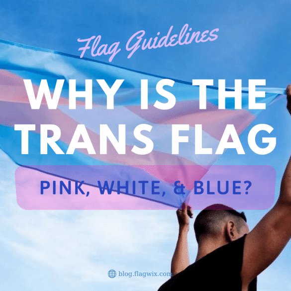 Why is the trans flag pink white and blue