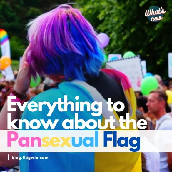 Everything to know about the Pansexual Flag