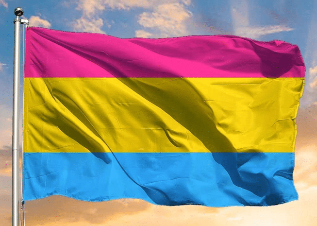 Meanings of This Pink-Yellow-Blue Flag