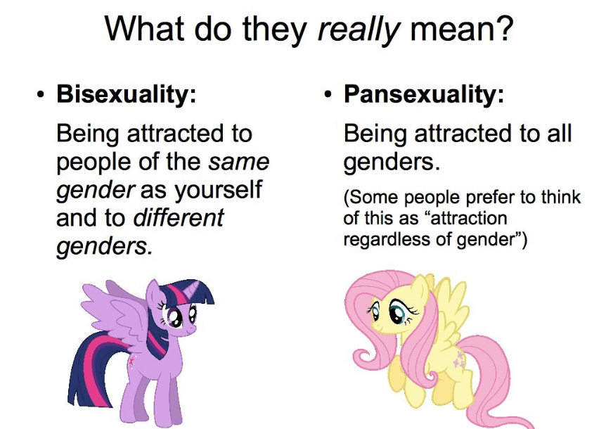 Pansexual vs. Bisexual​