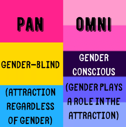 Pansexual vs. Omnisexual​