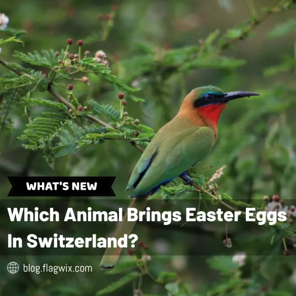 Which animal brings easter eggs in Switzerland