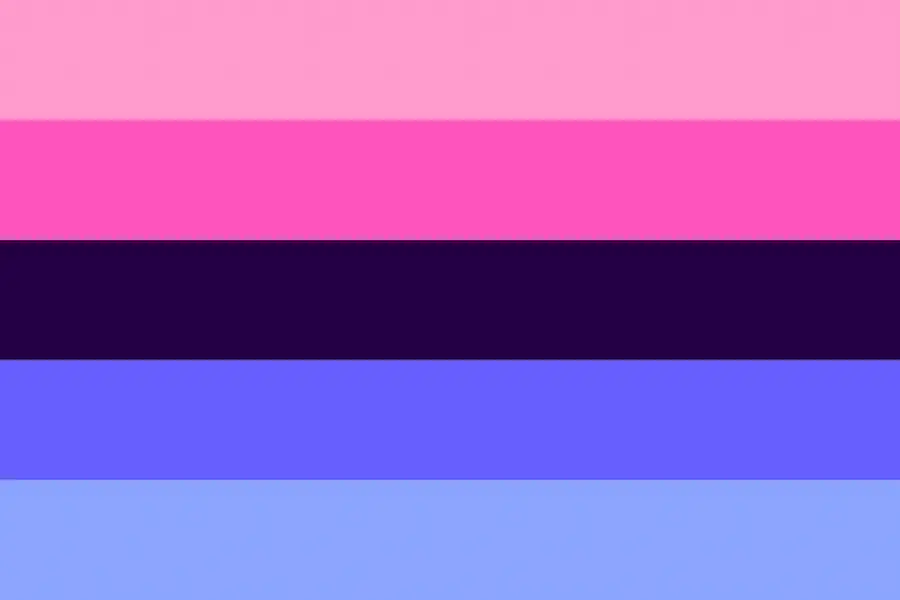 omnisexual flag