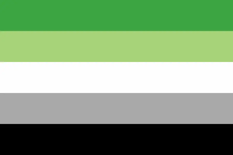 official aromantic flag