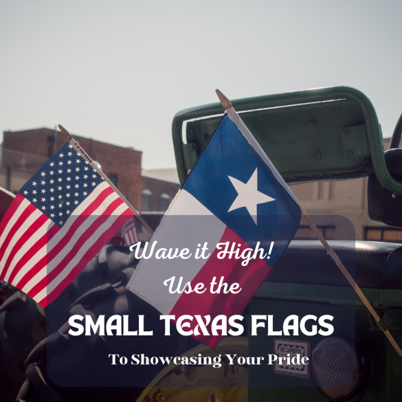 Small Texas Flag