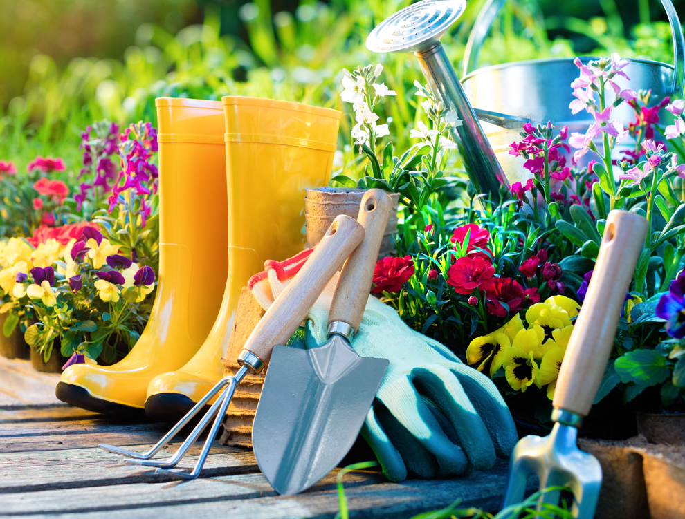 Plan a Garden to Celebrate Growth