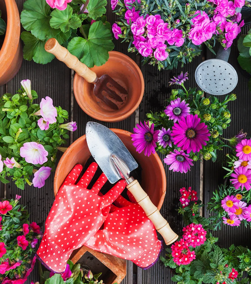 Garden Refresh Tips