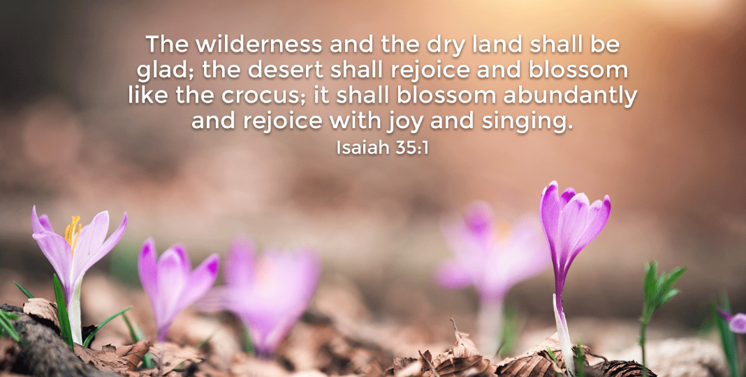 what does spring symbolize in the Bible