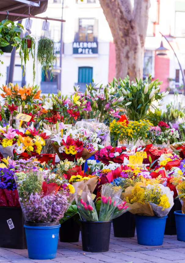 Spring Fresh Flowers