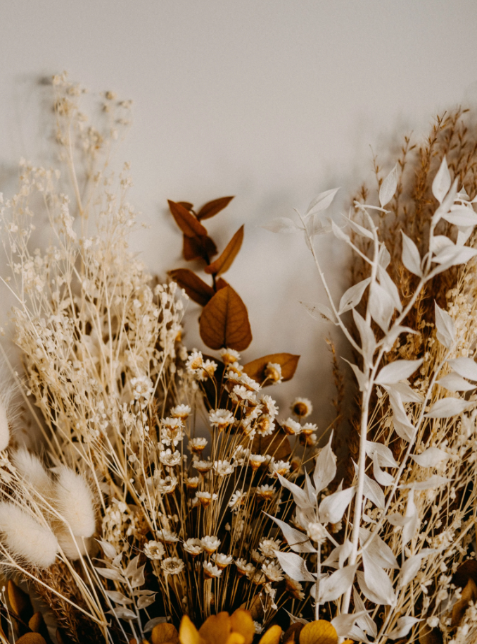 Dried Flowers